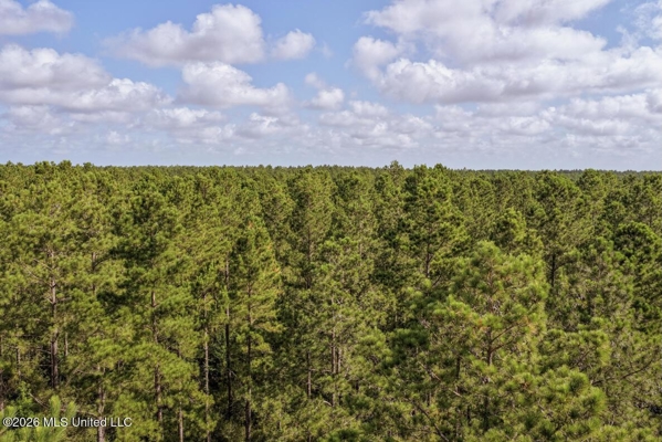 Big Woods Neighborhood Land for Sale Hattiesburg MS