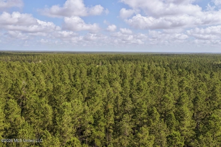 Big Woods Neighborhood Land for Sale Hattiesburg MS - image 14