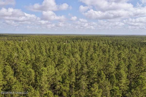Big Woods Neighborhood Land for Sale Hattiesburg MS
