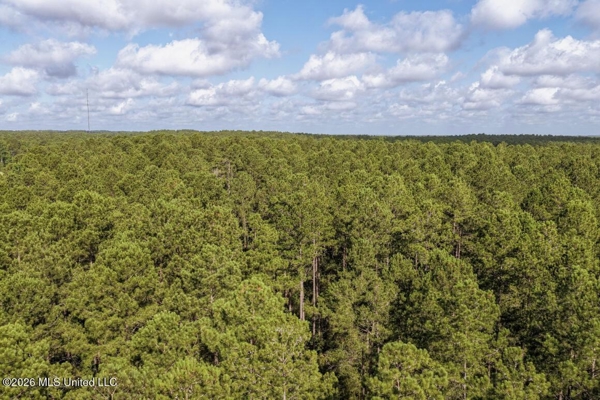 Big Woods Neighborhood Land for Sale Hattiesburg MS