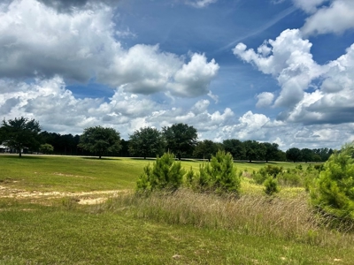 The Big Woods Neighborhood in Hattiesburg MS - image 14