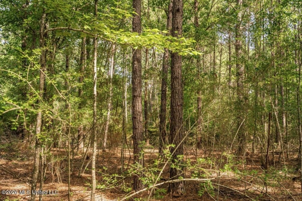 Big Woods Neighborhood Land for Sale Hattiesburg MS