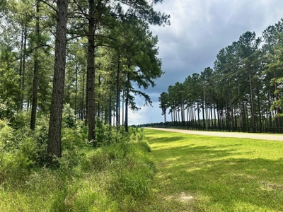 The Big Woods Neighborhood in Hattiesburg MS - image 7