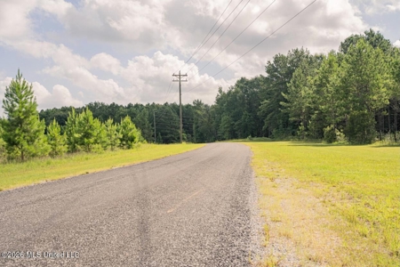 Big Woods Neighborhood Land for Sale Hattiesburg MS - image 28