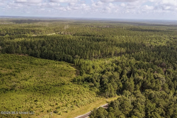 Big Woods Neighborhood Land for Sale Hattiesburg MS