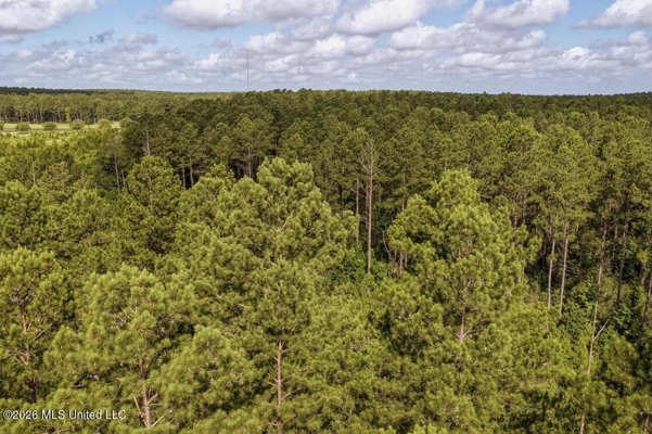 Big Woods Neighborhood Land for Sale Hattiesburg MS