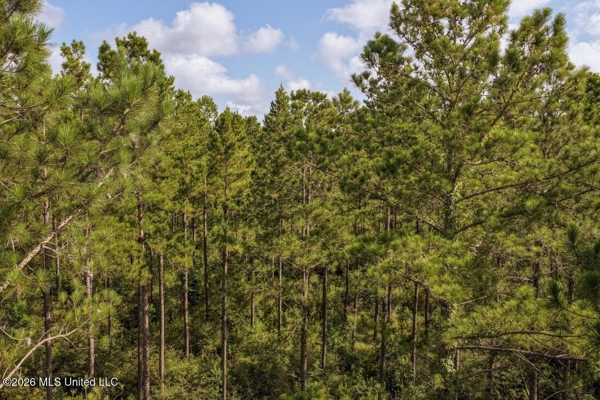 Big Woods Neighborhood Land for Sale Hattiesburg MS