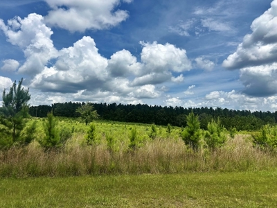 The Big Woods Neighborhood in Hattiesburg MS - image 9