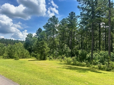 The Big Woods Neighborhood in Hattiesburg MS - image 15