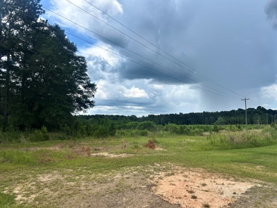 The Big Woods Neighborhood in Hattiesburg MS - image 4