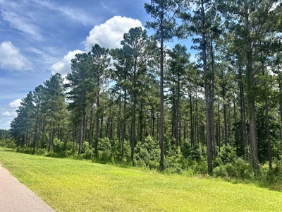 The Big Woods Neighborhood in Hattiesburg MS - image 12