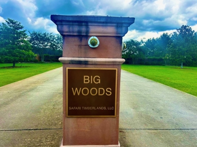The Big Woods Neighborhood in Hattiesburg MS - image 1