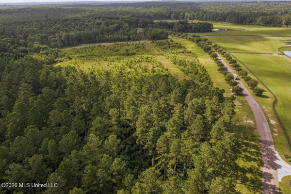 Big Woods Neighborhood Land for Sale Hattiesburg MS