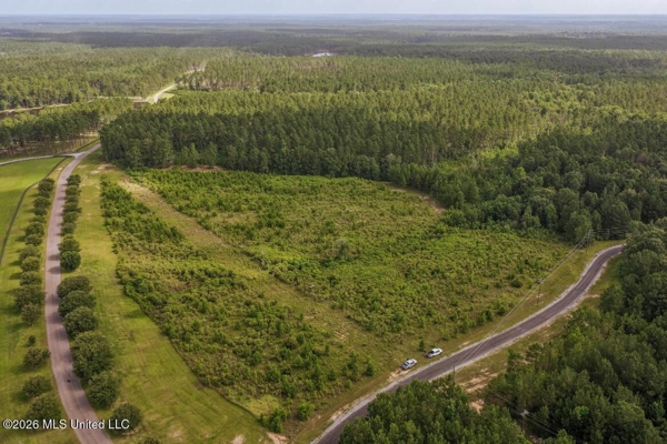 Big Woods Neighborhood Land for Sale Hattiesburg MS