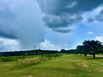 The Big Woods Neighborhood in Hattiesburg MS - image 3
