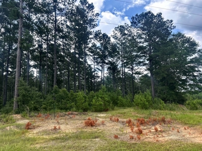 The Big Woods Neighborhood in Hattiesburg MS - image 5