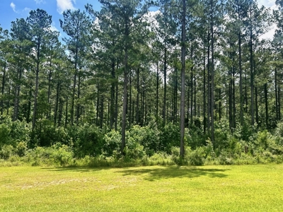 The Big Woods Neighborhood in Hattiesburg MS - image 16