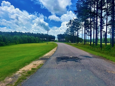 The Big Woods Neighborhood in Hattiesburg MS - image 13