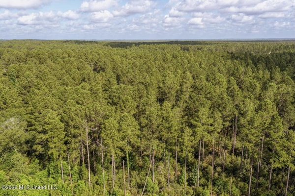 Big Woods Neighborhood Land for Sale Hattiesburg MS
