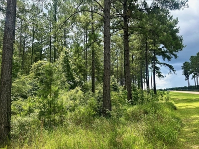 The Big Woods Neighborhood in Hattiesburg MS - image 6
