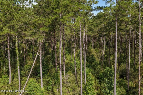 Big Woods Neighborhood Land for Sale Hattiesburg MS