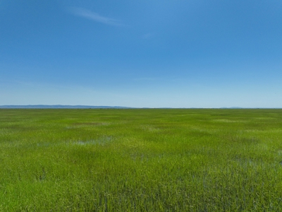 Eastern Oregon Sheley Green Acres - image 40