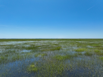 Eastern Oregon Sheley Green Acres - image 38