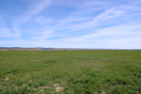 Eastern Oregon Sheley Green Acres - image 6