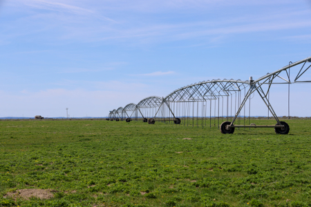 Eastern Oregon Sheley Green Acres - image 3