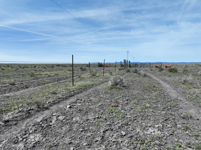 Eastern Oregon Sheley Green Acres - image 31