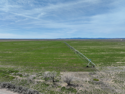 Eastern Oregon Sheley Green Acres - image 36