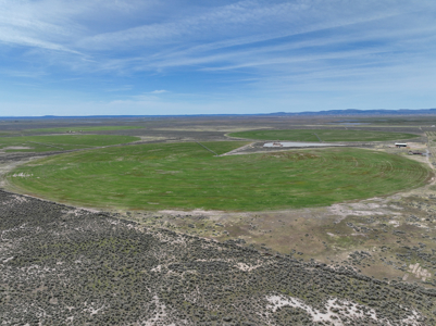 Eastern Oregon Sheley Green Acres - image 29