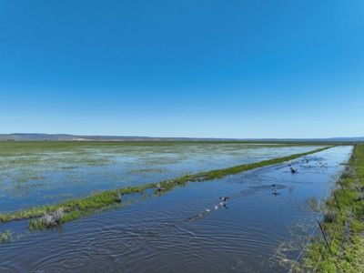 Eastern Oregon Sheley Green Acres - image 39