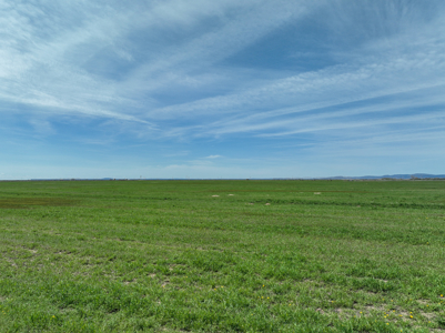 Eastern Oregon Sheley Green Acres - image 28