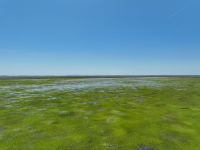 Eastern Oregon Sheley Green Acres - image 37