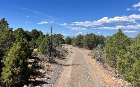 Land for Sale in Montrose CO with all Utilities Installed - image 12