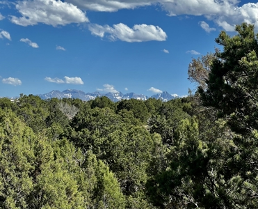 Land for Sale in Montrose CO with all Utilities Installed - image 10