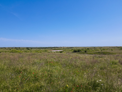 Land For Sale Henrietta Clay County Texas Ranches Property - image 7