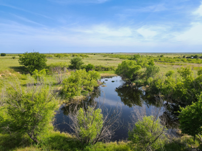 Land For Sale Henrietta Clay County Texas Ranches Property - image 30