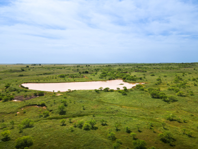 Land For Sale Henrietta Clay County Texas Ranches Property - image 5