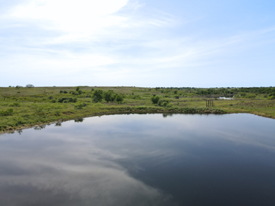 Land For Sale Henrietta Clay County Texas Ranches Property - image 25