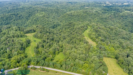 Hunting and Building Land in Albany, Kentucky - image 7