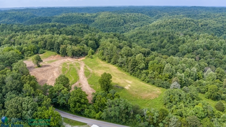 Hunting and Building Land in Albany, Kentucky - image 5