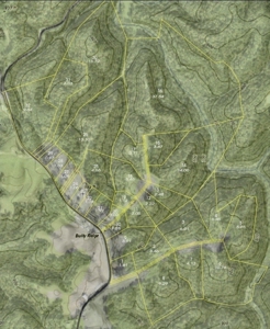 Hunting and Building Land in Albany, Kentucky - image 9