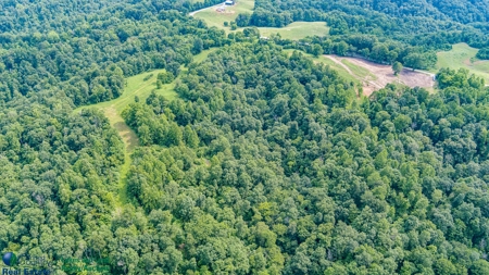 Hunting and Building Land in Albany, Kentucky - image 4