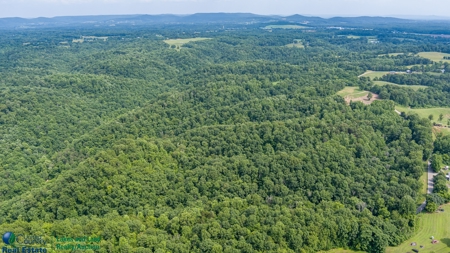 Hunting and Building Land in Albany, Kentucky - image 2