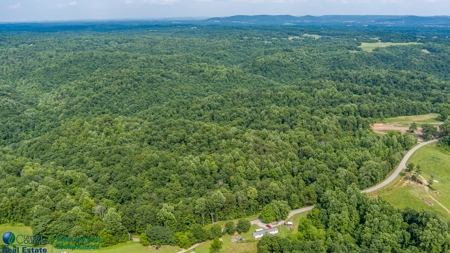 Hunting and Building Land in Albany, Kentucky - image 1