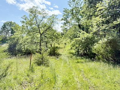 Recreational Property & Build-Site for Sale in Cedar County MO - image 21