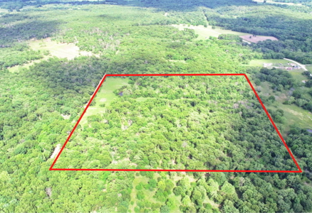 Recreational Property & Build-Site for Sale in Cedar County MO - image 3