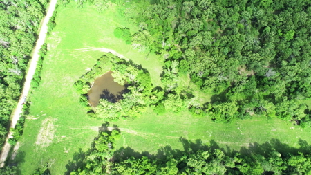Recreational Property & Build-Site for Sale in Cedar County MO - image 6